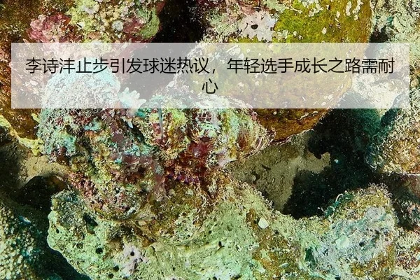 li-shi-feng-zhi-bu-yin-fa-qiu-mi-re-yi-nian-qing-xuan-shou-cheng-zhang-zhi-lu-xu-nai-xin-2-115.jpg