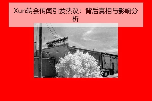 zhuan-hui-chuan-wen-yin-fa-re-yi-bei-hou-zhen-xiang-yu-ying-xiang-fen-xi-2-213.jpg